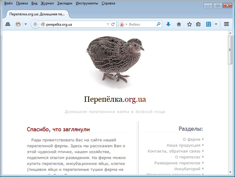    .org.ua